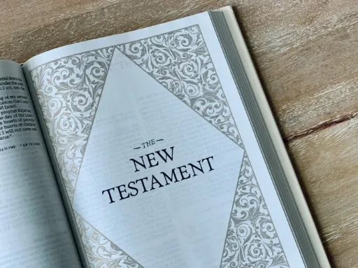 New Testament Survey